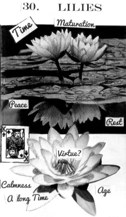 Almamand Lenormand cover