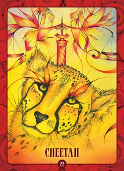 Ancient Animal Wisdom cover
