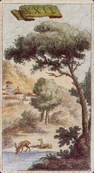 Ancient Minchiate Etruria cover