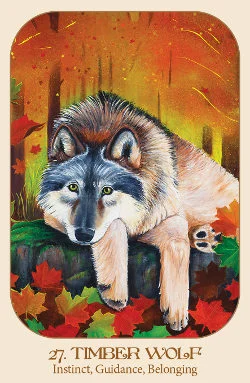Animal Voices cover