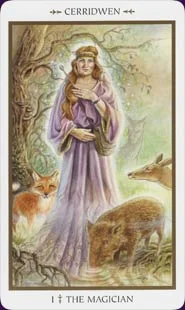 Animals Divine cover