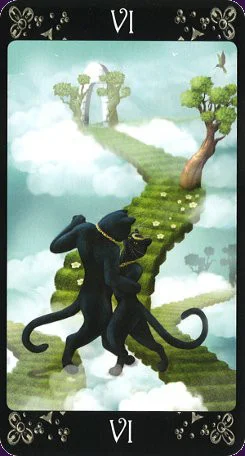 Black Cats cover