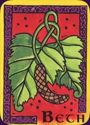 Celtic cover
