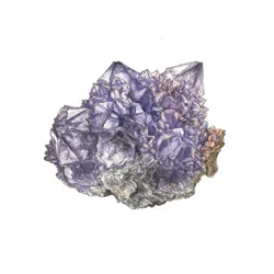 Crystal Portraits cover