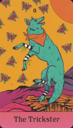 Desert Illuminations cover