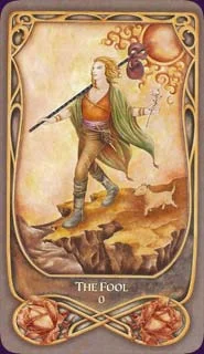 Fenestra cover