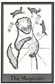 Ferret cover