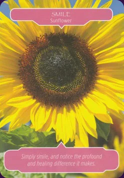 Flower Therapy cover