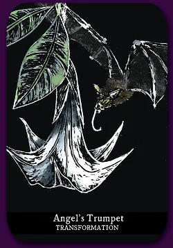 Flowers of the Night cover