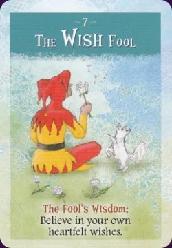 Fool's Wisdom cover